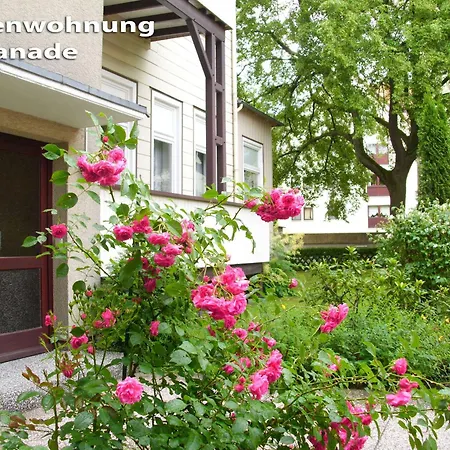 Valentin Bad Harzburg